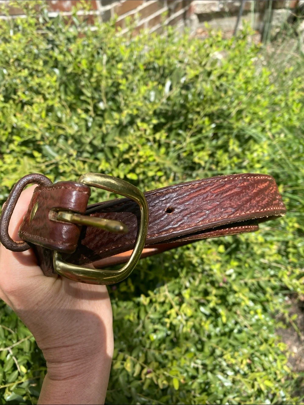 D M Builard Maker Shark Belt Size 42